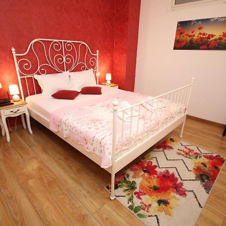 Flowers Apartments 蒂米什瓦拉 外观 照片