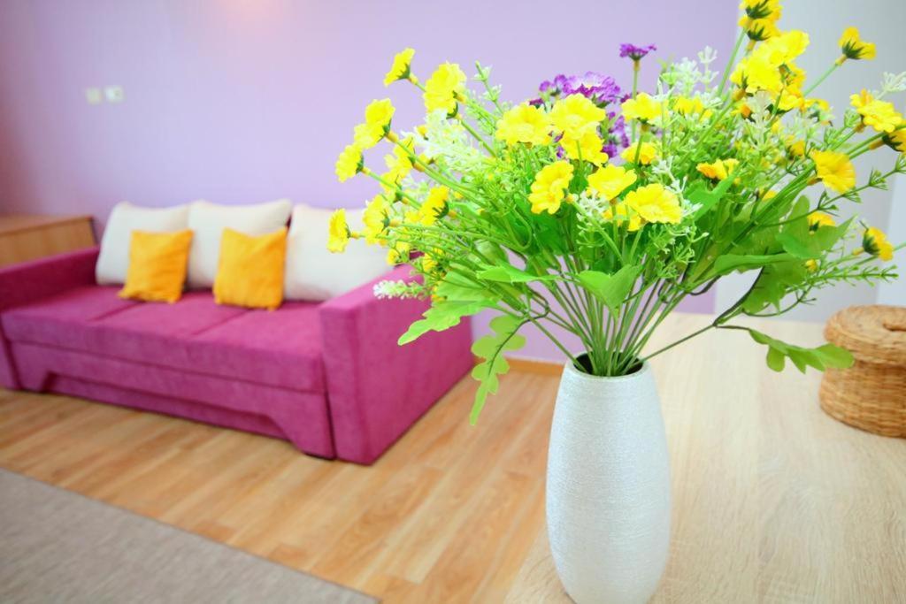 Flowers Apartments 蒂米什瓦拉 外观 照片