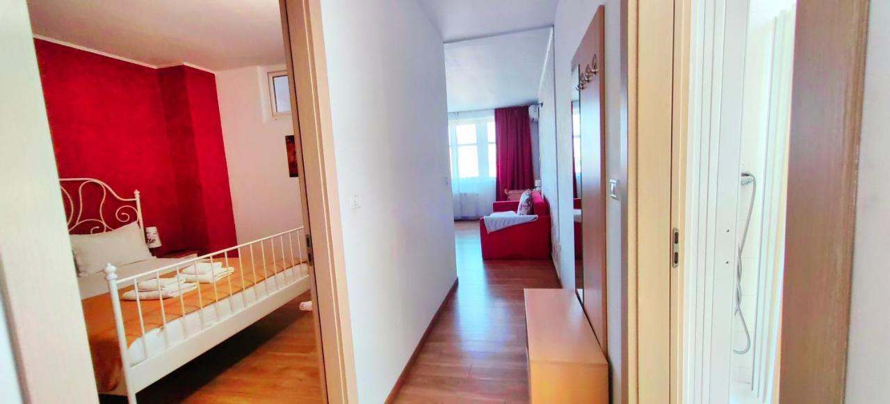 Flowers Apartments 蒂米什瓦拉 外观 照片