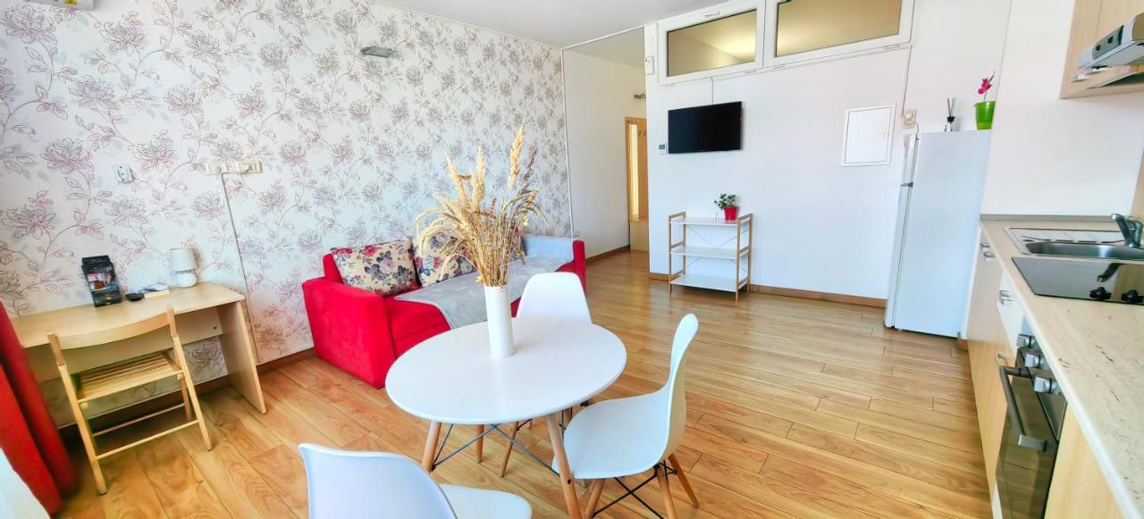 Flowers Apartments 蒂米什瓦拉 外观 照片