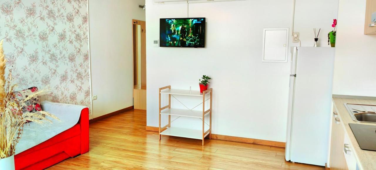 Flowers Apartments 蒂米什瓦拉 外观 照片