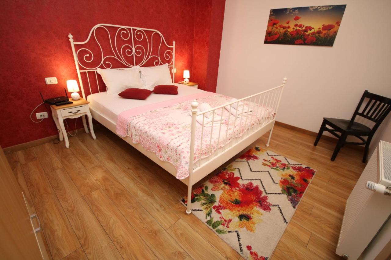 Flowers Apartments 蒂米什瓦拉 外观 照片